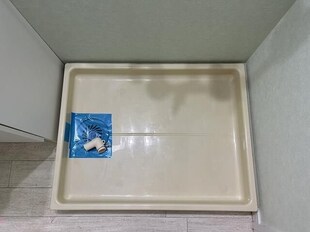 Ｃｏｏｅｅ茅ヶ崎の物件内観写真